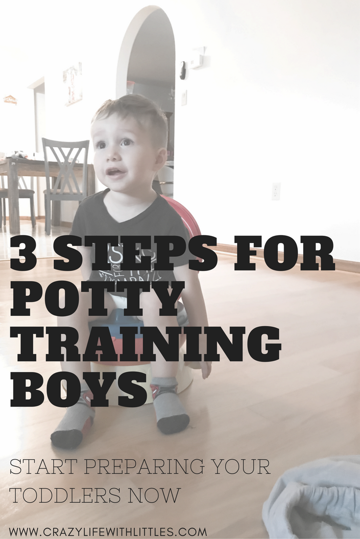 how to potty train a boy in 3 days / potty training tips for girls / potty training boys age 2 / what age to start potty training / potty training boys age 3 / how to potty train a toddler / potty training problems / potty training schedule
