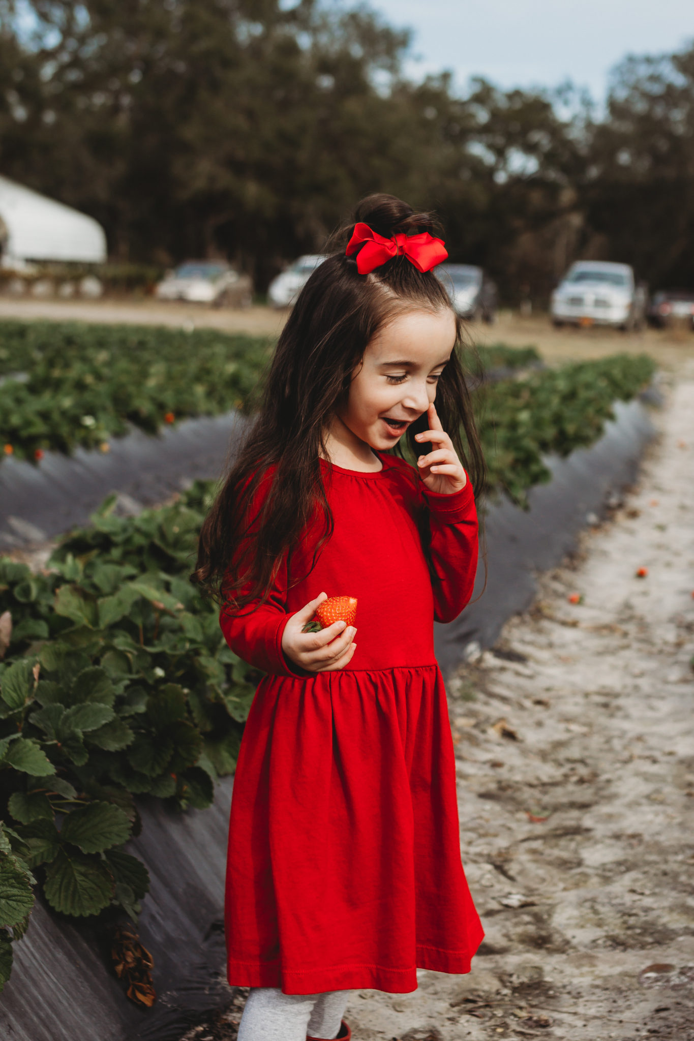 Reasons to go strawberry picking with your kids, fruit picking, strawberry season, U-Pick Farms, Outdoor Activities for Kids