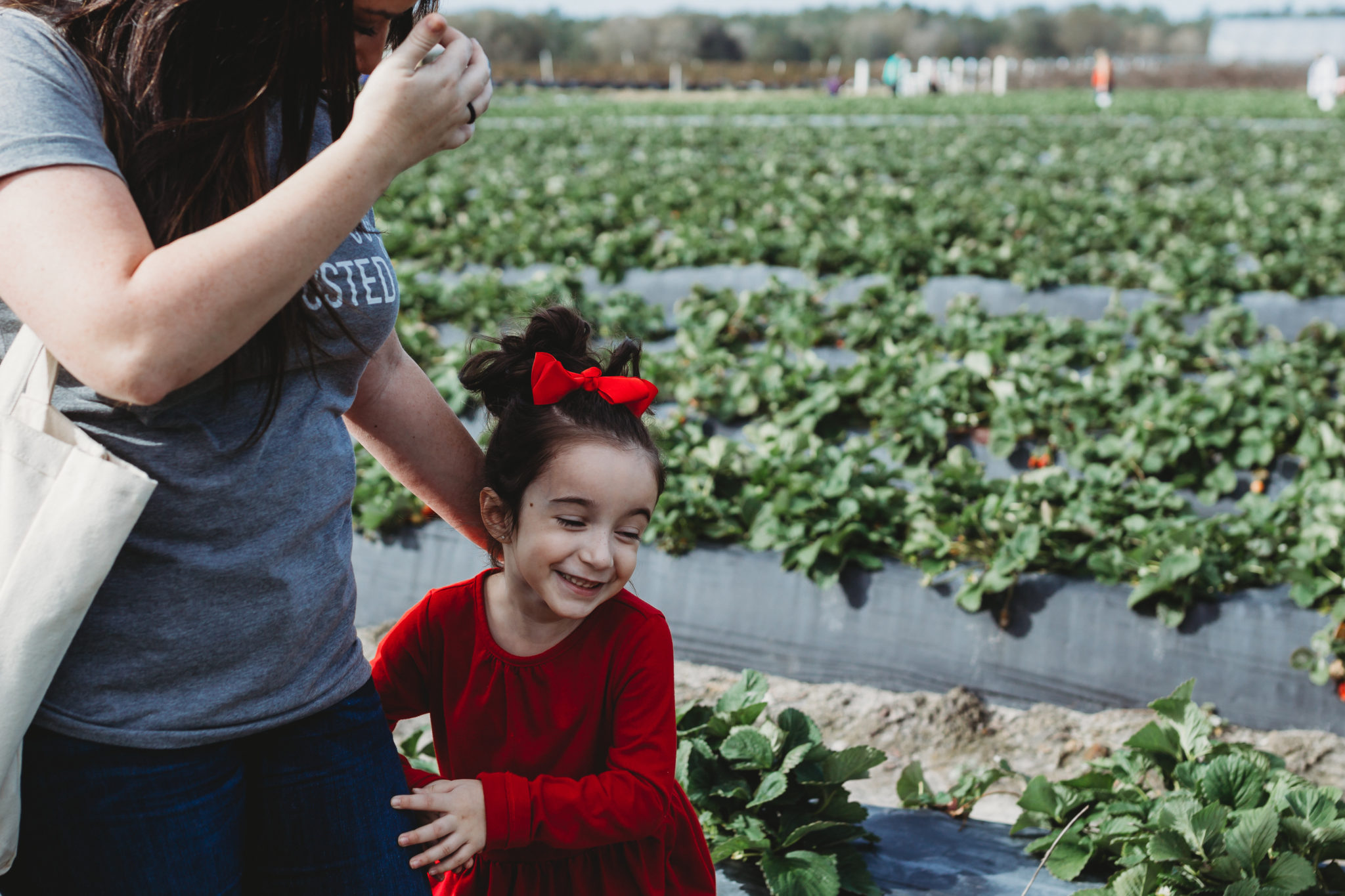 Reasons to go strawberry picking with your kids, fruit picking, strawberry season, U-Pick Farms, Outdoor Activities for Kids