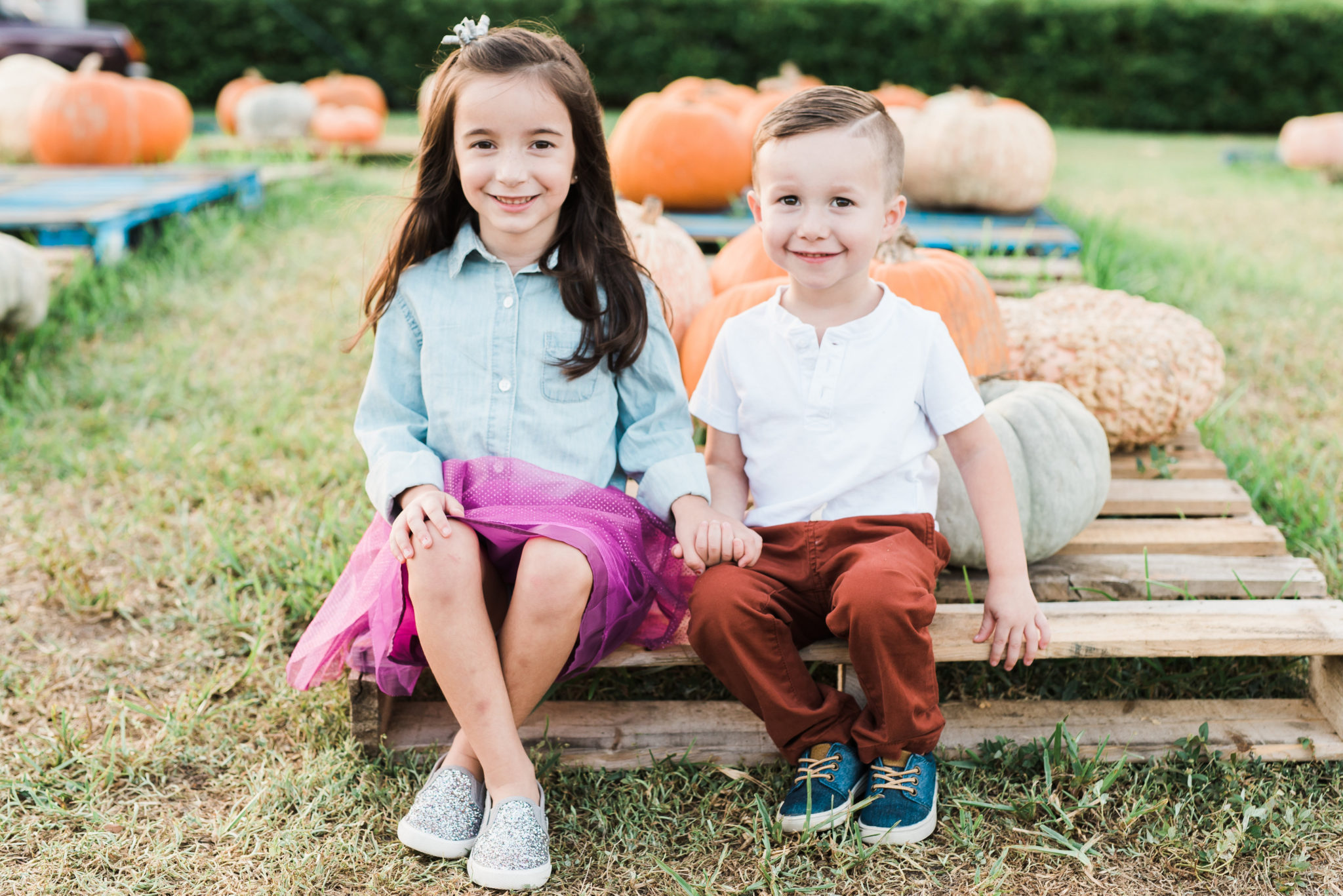 Fall family photos with spring hill photographer shawna meadors.
