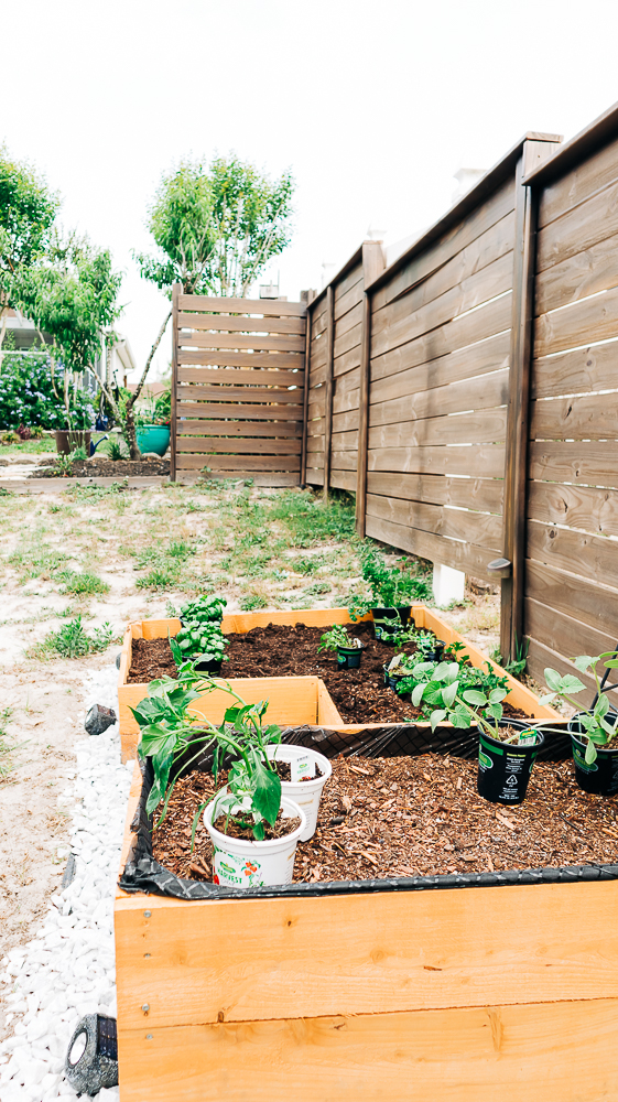 DIY raised garden bed, herb and vegetable garden, herb garden, backyard garden and kids potting bench