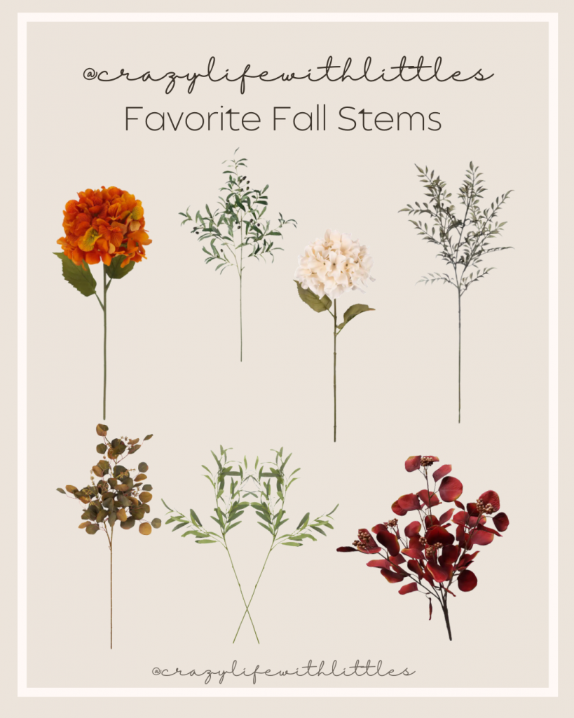 favorite fall stems from Michaels